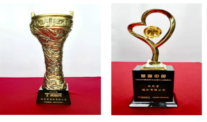 热烈祝贺九芝堂荣获2019年度中国医药市场营销青铜奖，与“爱暖中国——2020中国医药工业爱心公益企业”称号！